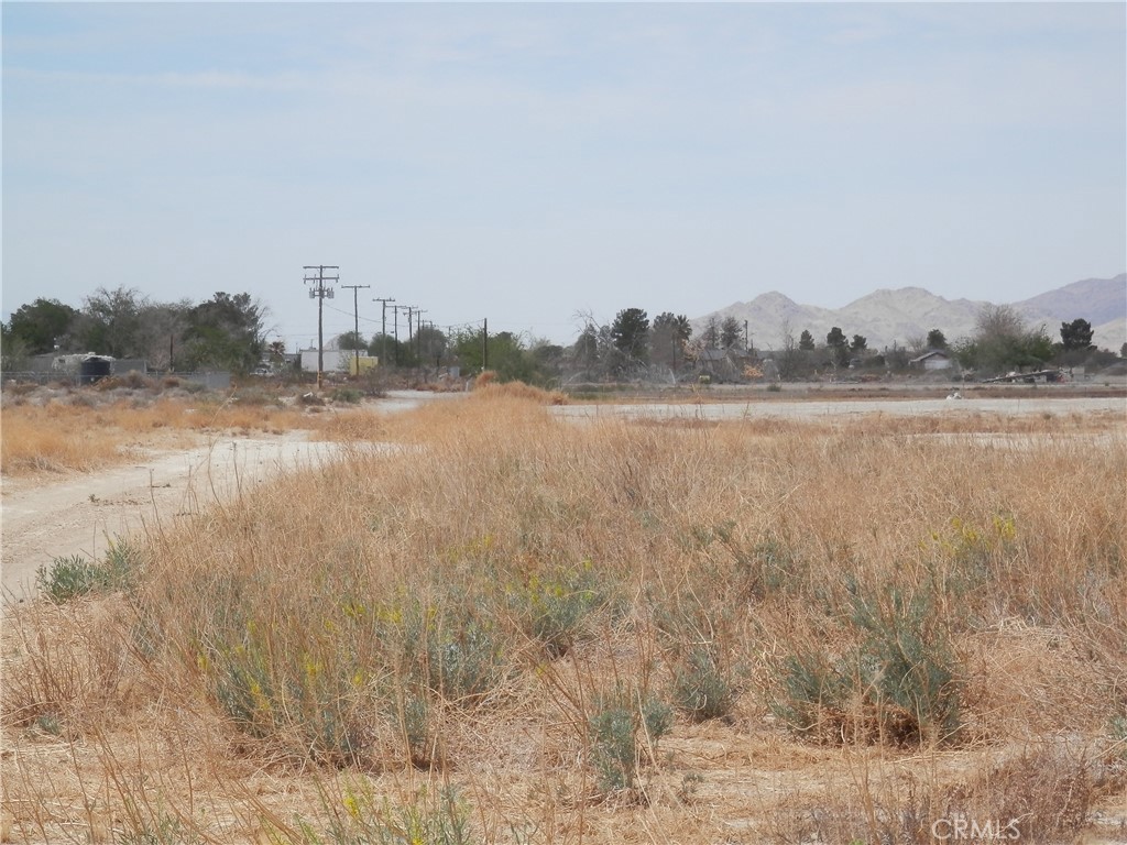 MLS #PW25129913 image #13