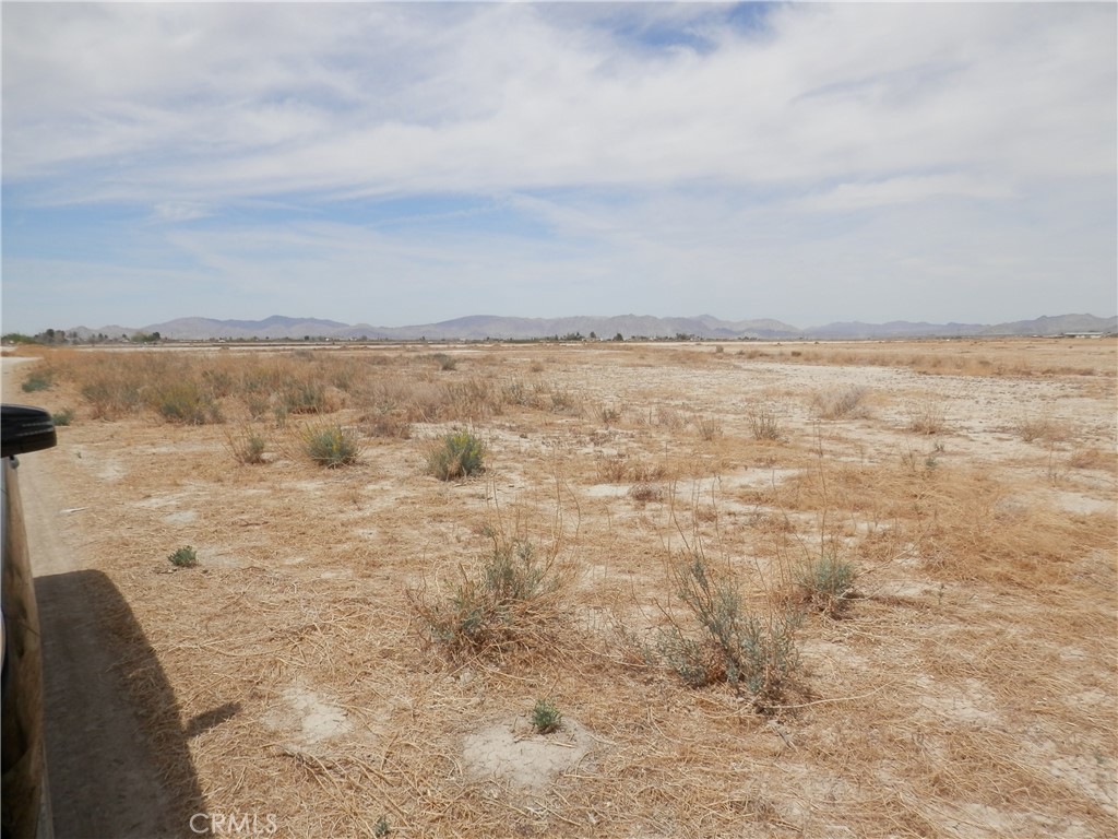 MLS #PW25129913 image #4