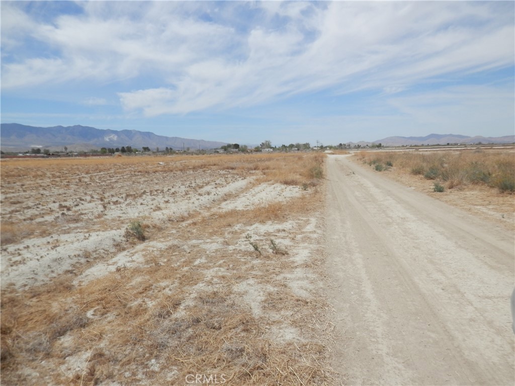 MLS #PW25129913 image #5