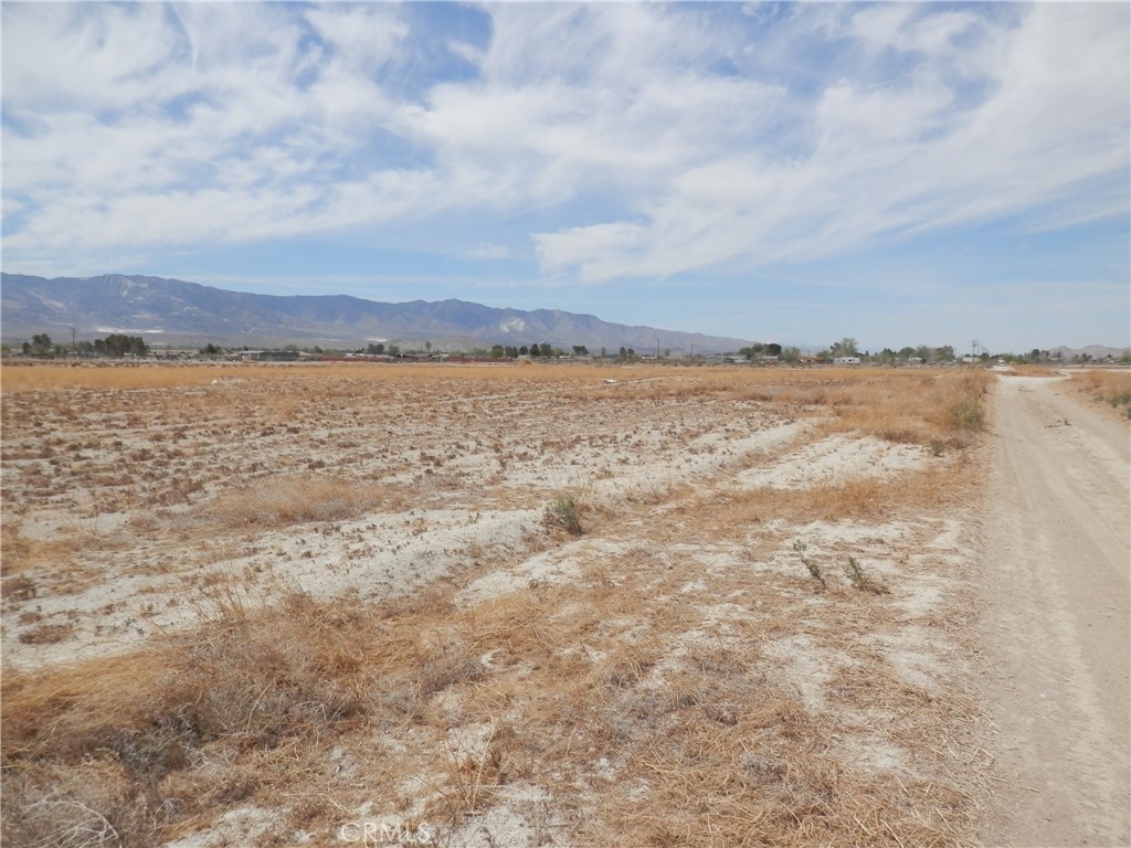 MLS #PW25129913 image #6