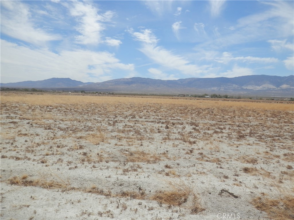 MLS #PW25129913 image #8