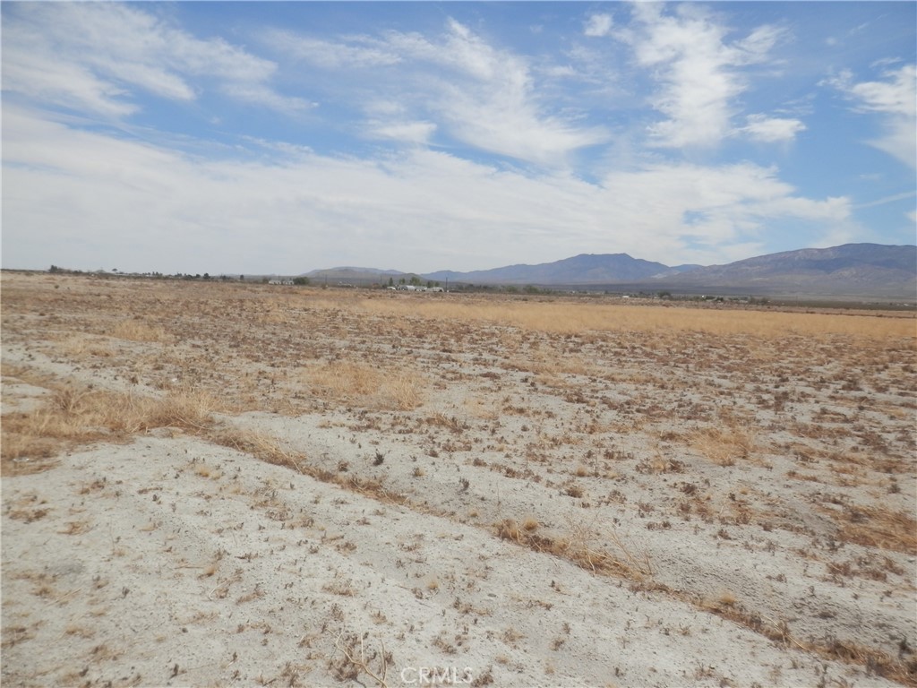 MLS #PW25129913 image #9