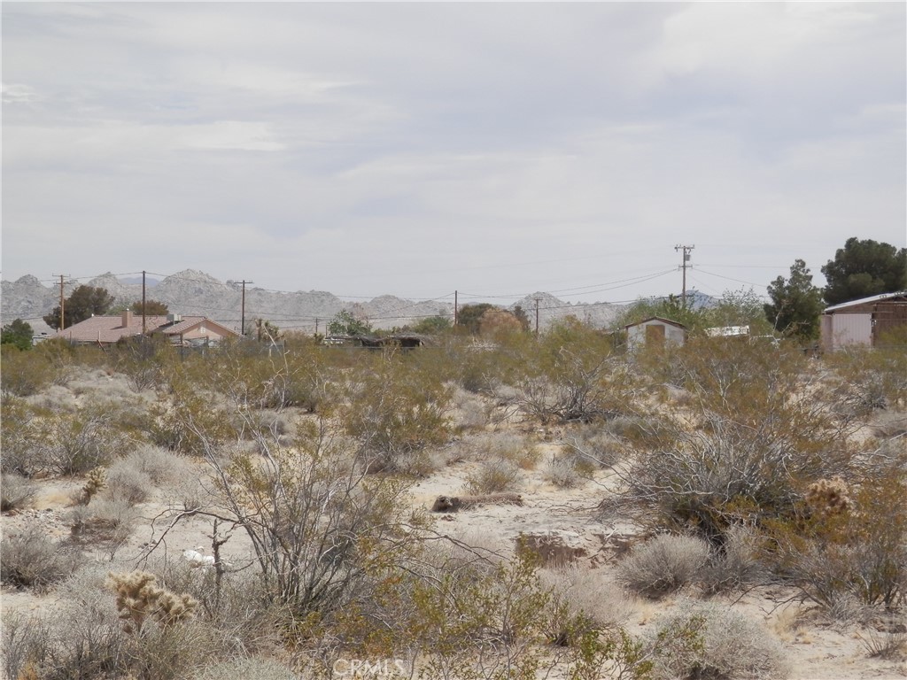 MLS #PW25131145 image #12