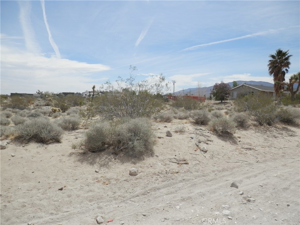 MLS #PW25131145 image #5