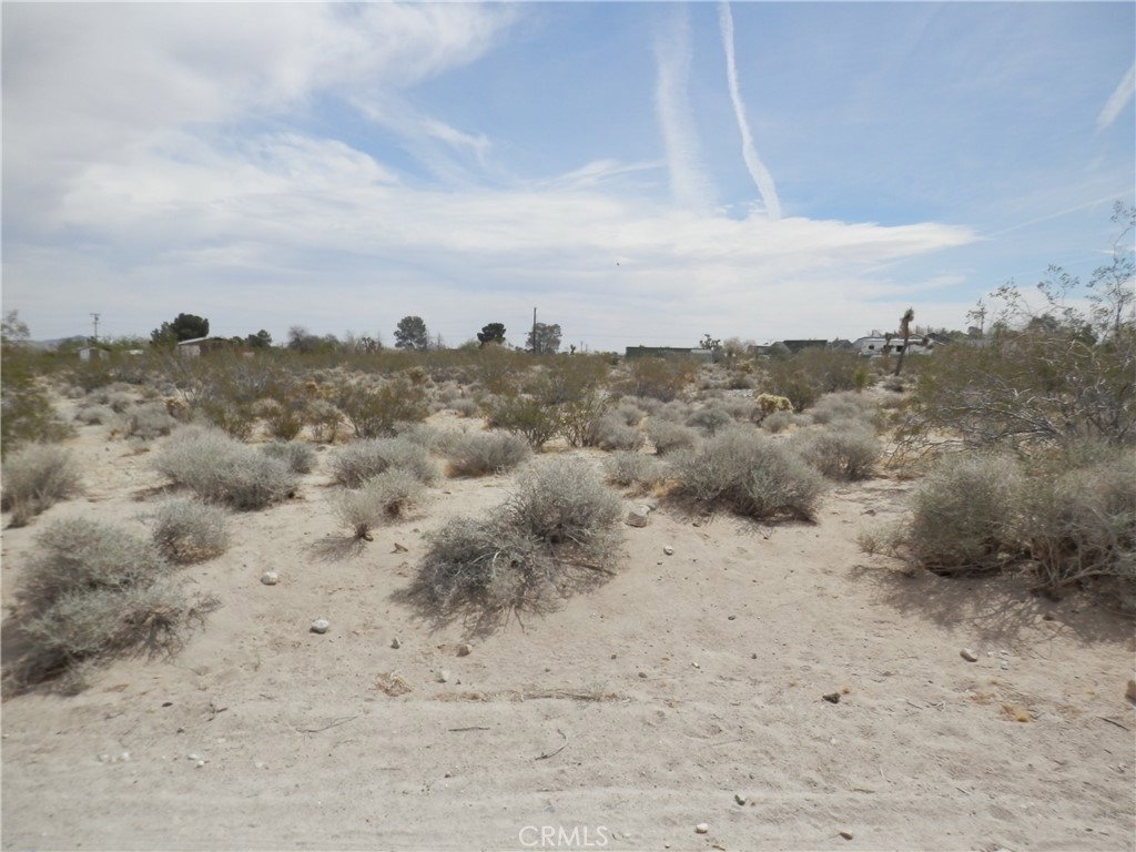 MLS #PW25131145 image #6