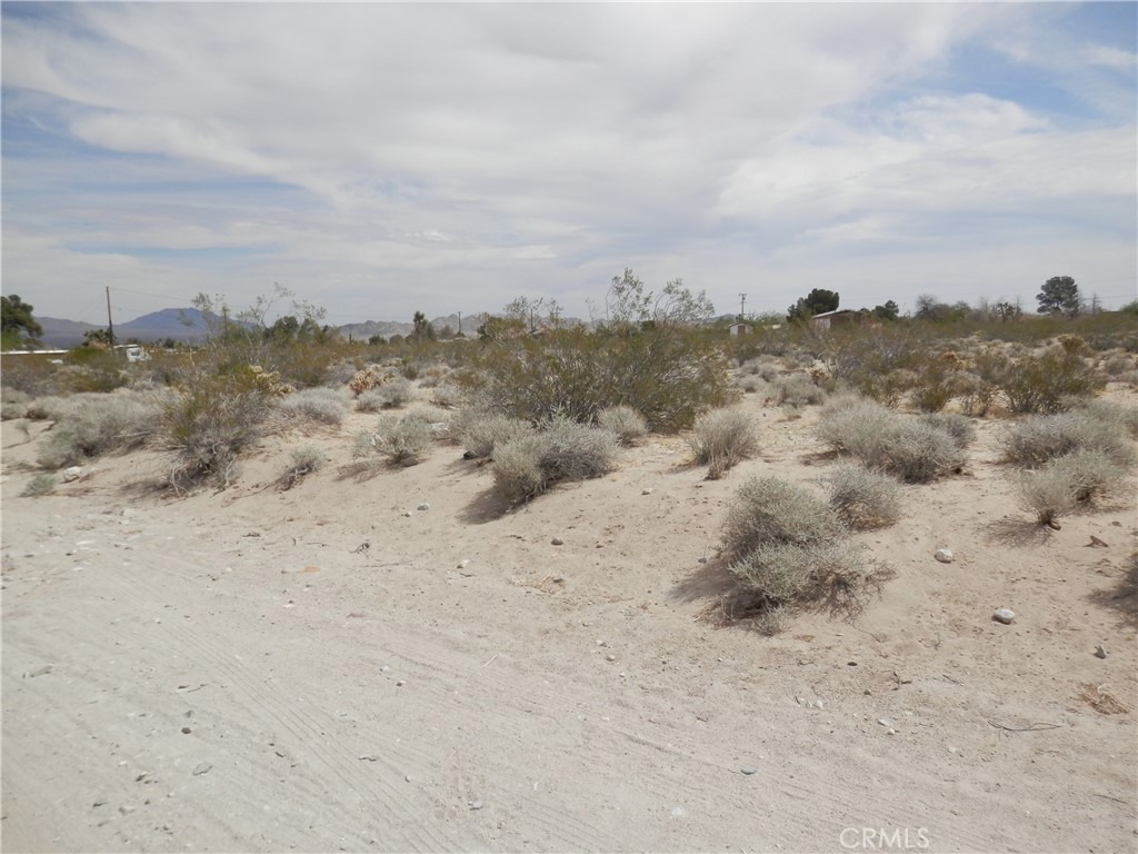 MLS #PW25131145 image #7