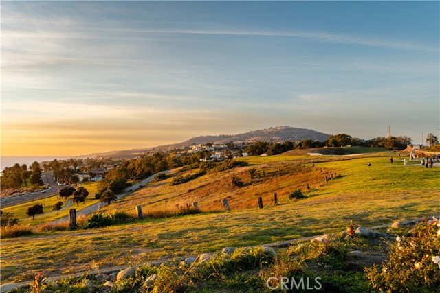 MLS #PW25133264 image #41