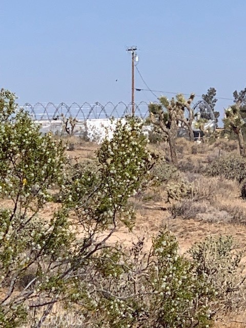 MLS #PW25133809 image #2