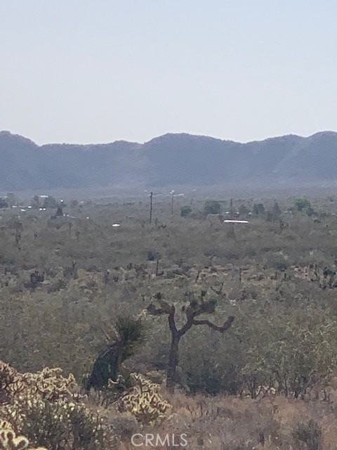 MLS #PW25133809 image #3