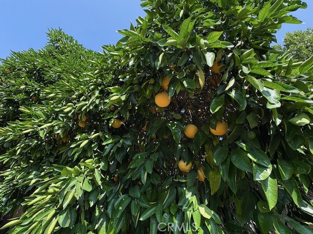 MLS #PW25143593 image #11