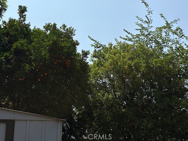 MLS #PW25143593 image #9