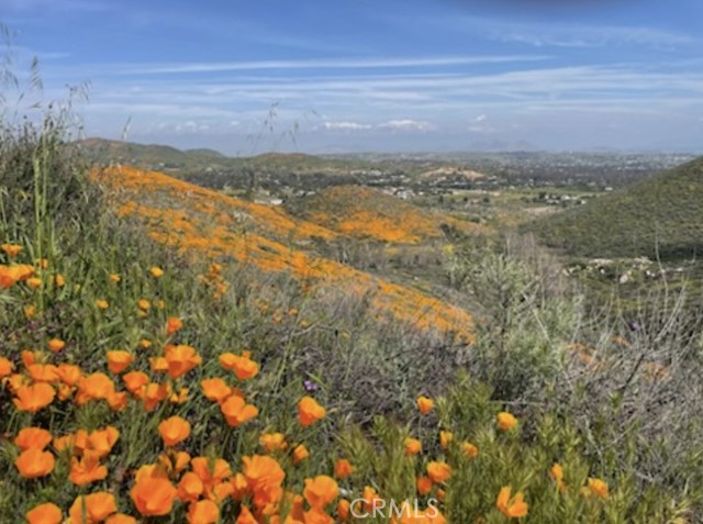 MLS #PW25145286 image #62