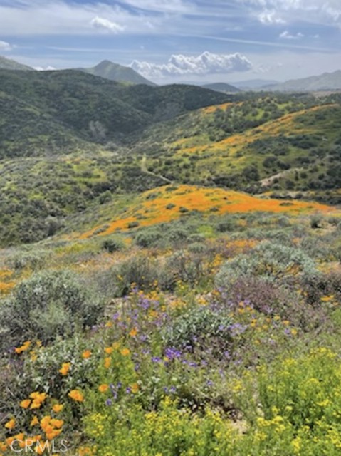 MLS #PW25145286 image #63