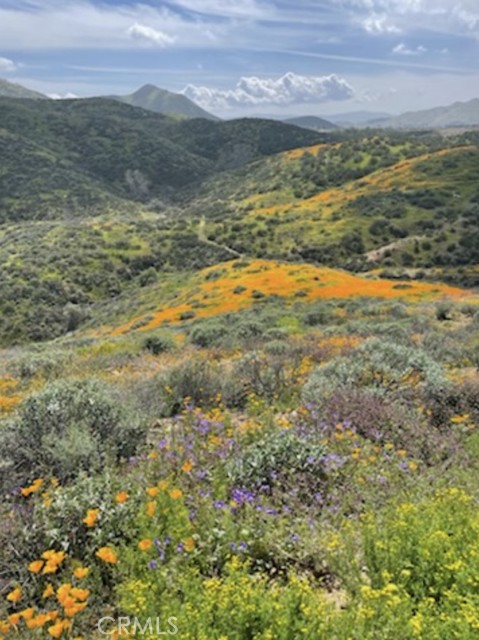 MLS #PW25145380 image #63