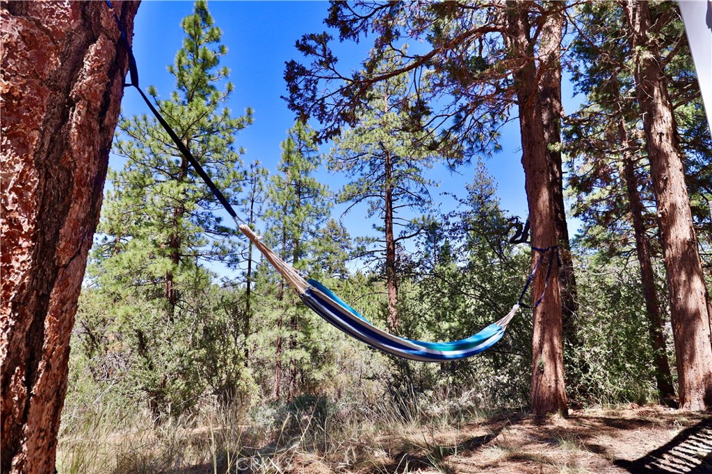 MLS #PW25146733 image #13