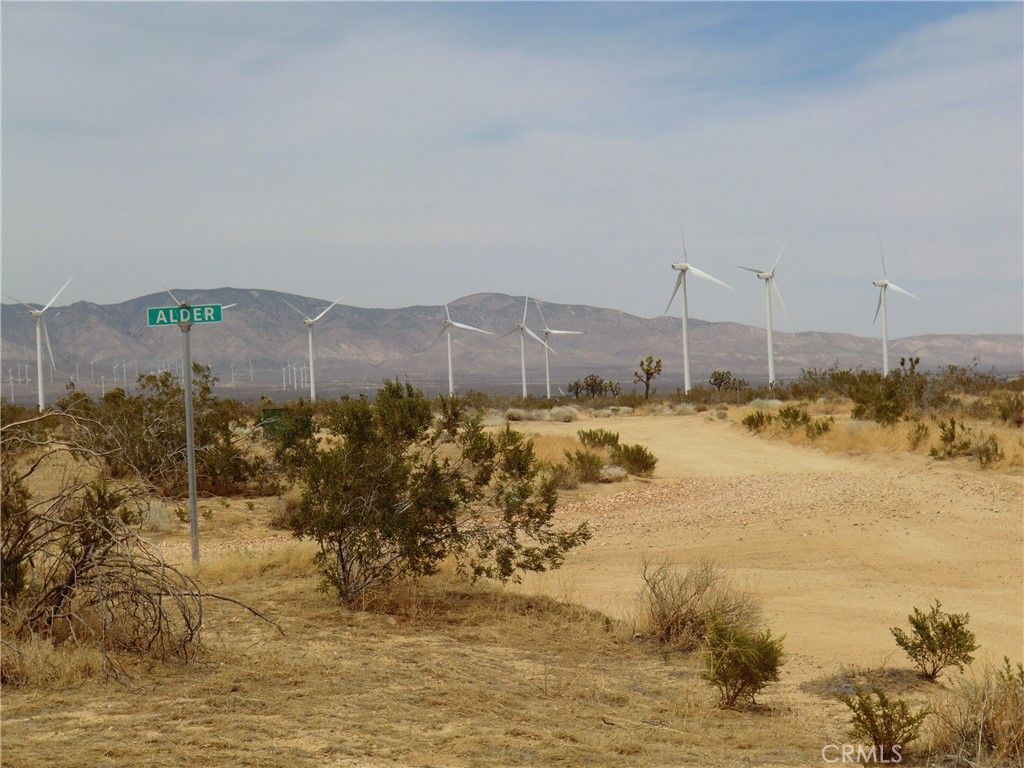 MLS #PW25147255 image #12