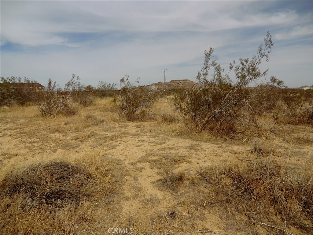 MLS #PW25147255 image #5