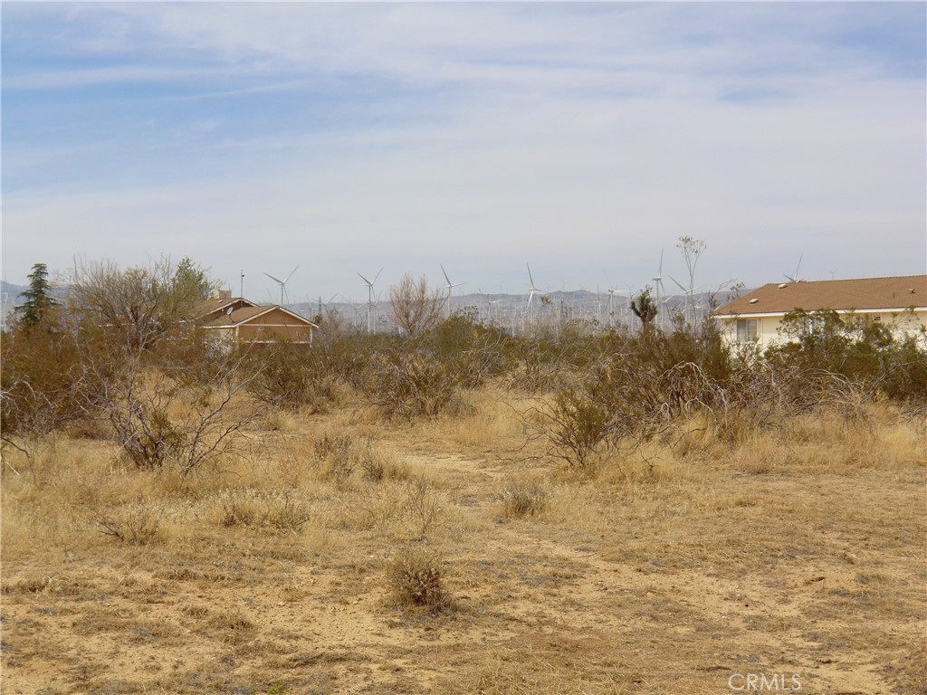 MLS #PW25147255 image #6