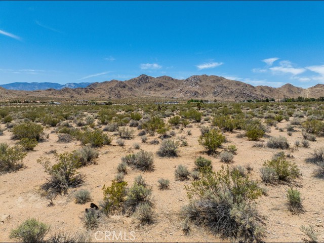 MLS #PW25150284 image #14