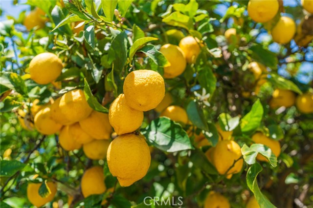 MLS #PW25152133 image #24