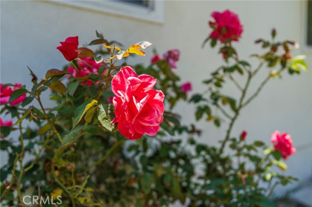 MLS #PW25152133 image #26