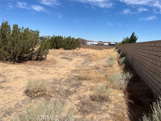 MLS #PW25160193 image #7