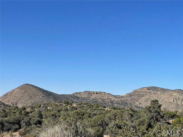 MLS #PW25161265 image #3