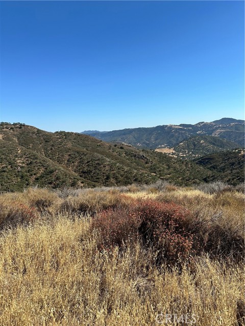 MLS #PW25161278 image #2