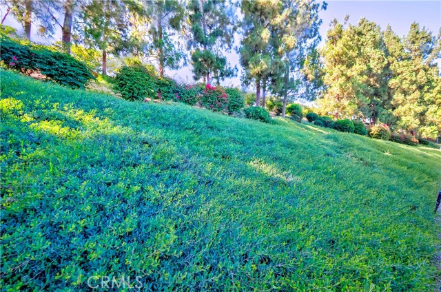 MLS #PW25164049 image #34