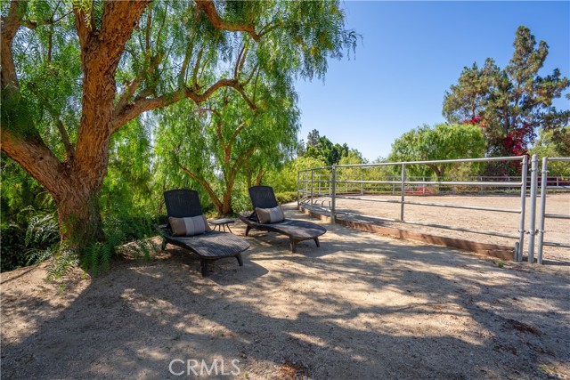 MLS #PW25164129 image #20