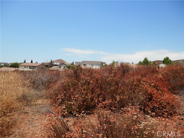 MLS #PW25167755 image #12