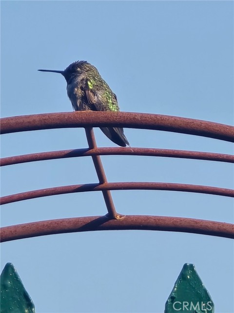 MLS #PW25171823 image #11