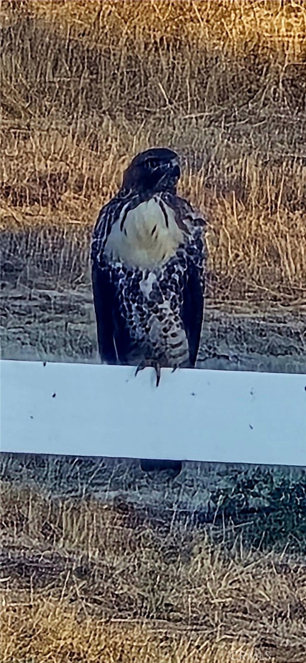 MLS #PW25171823 image #12