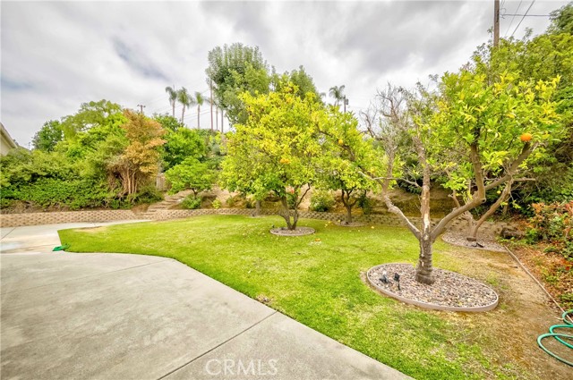 MLS #PW25173433 image #23