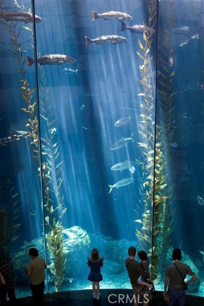 MLS #PW25174966 image #39