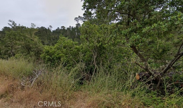 MLS #PW25184450 image #0