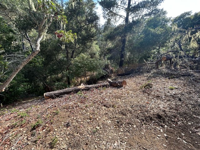 MLS #PW25184450 image #9