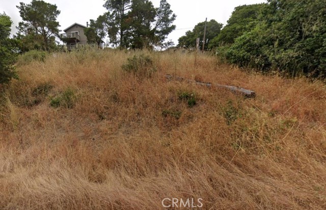 MLS #PW25185985 image #7