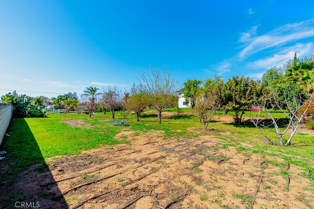 MLS #PW25186348 image #44