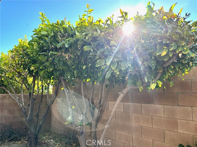 MLS #PW25188603 image #20