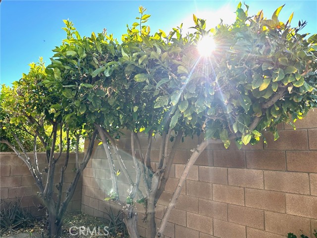 MLS #PW25188603 image #20