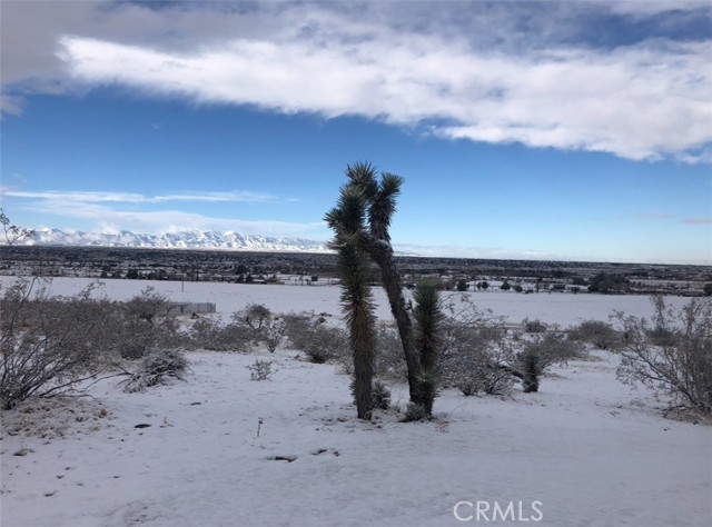 MLS #PW25191250 image #15