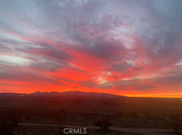 MLS #PW25191250 image #17