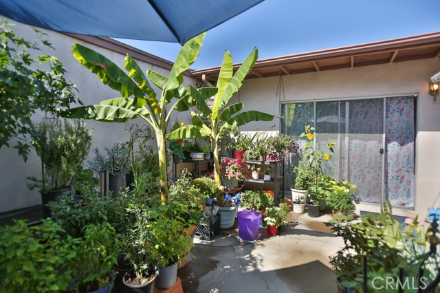 MLS #PW25191452 image #15