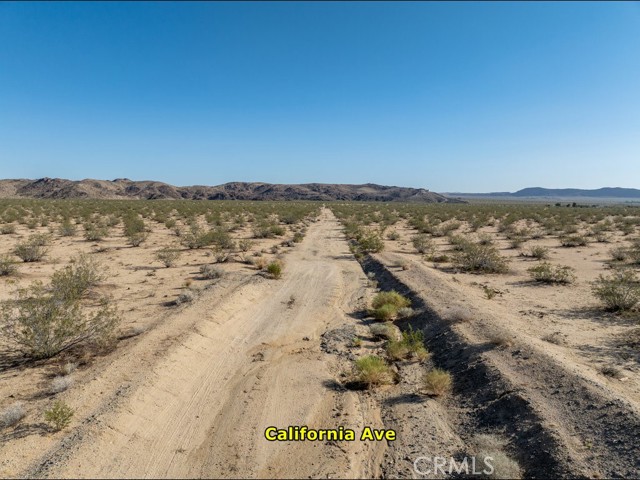 MLS #PW25191468 image #18