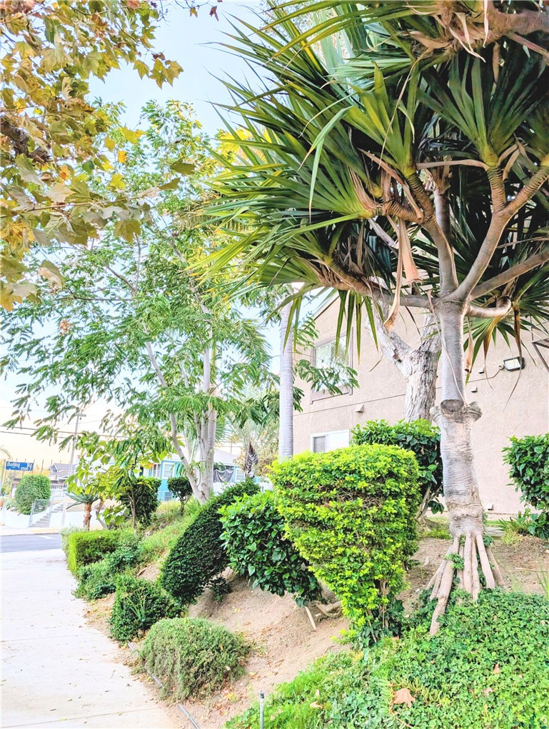 MLS #PW25193827 image #26