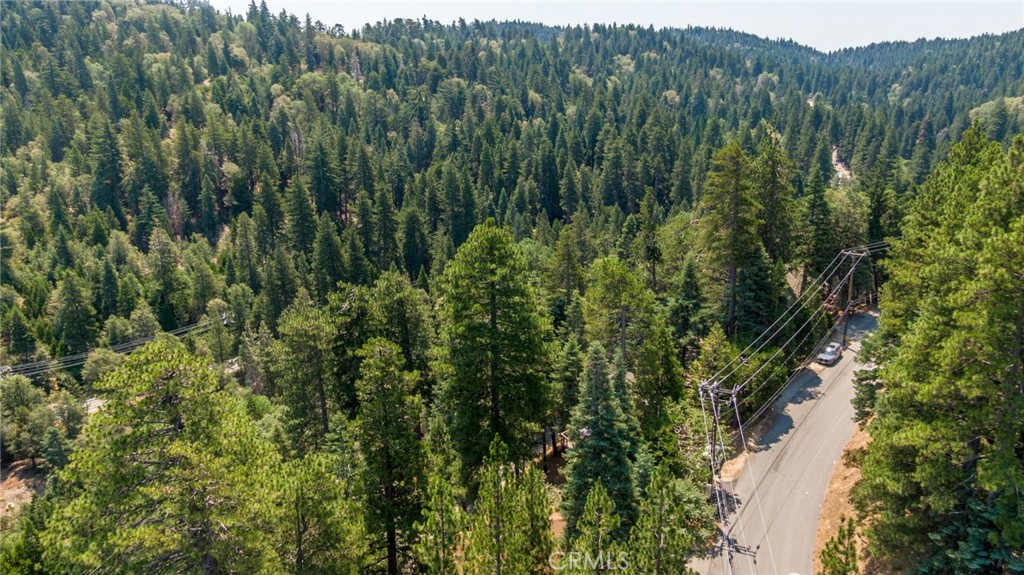 MLS #PW25194569 image #6