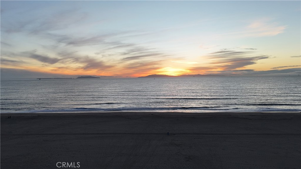 MLS #PW25199478 image #40