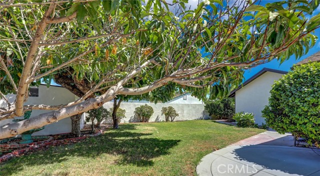 MLS #PW25200462 image #26