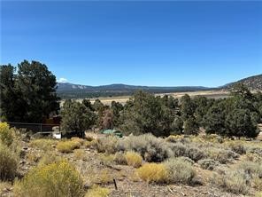 MLS #PW25206736 image #5